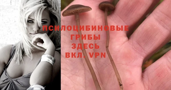 первитин Медногорск