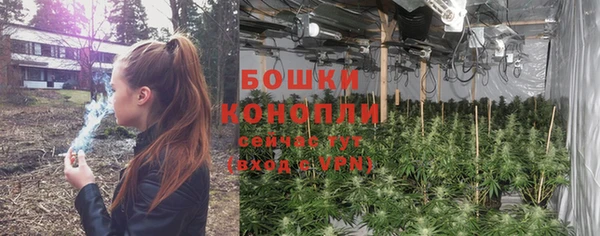 ALPHA PVP Мегион