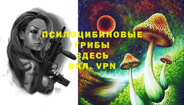 mix Медвежьегорск