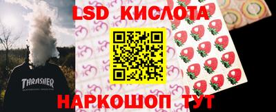 СК Донской