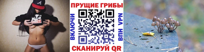 дарк нет как зайти mega ссылка Муравленко Псилоцибиновые грибы мицелий