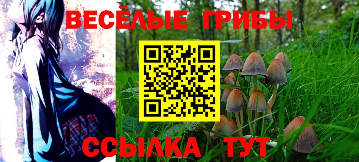 Псилоцибиновые грибы Magic Shrooms  Вход с VPN  Муравленко 