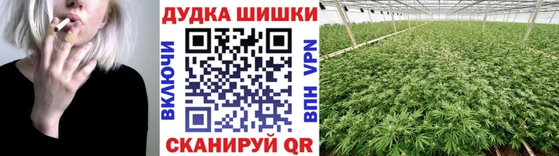 Конопля планчик  дарнет шоп  Муравленко 